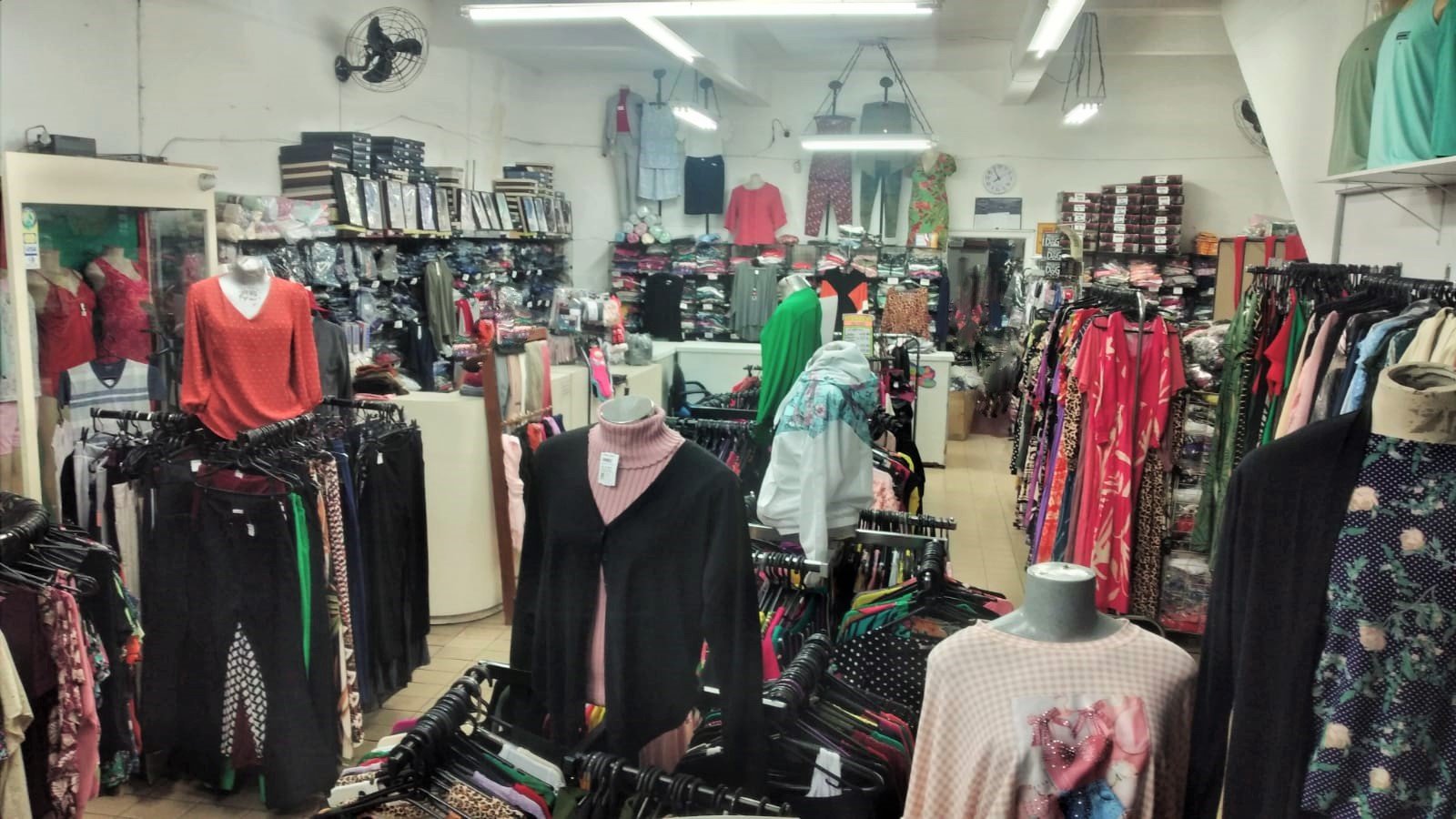 WhatsApp Image 2023-05-04 at 00.02.49