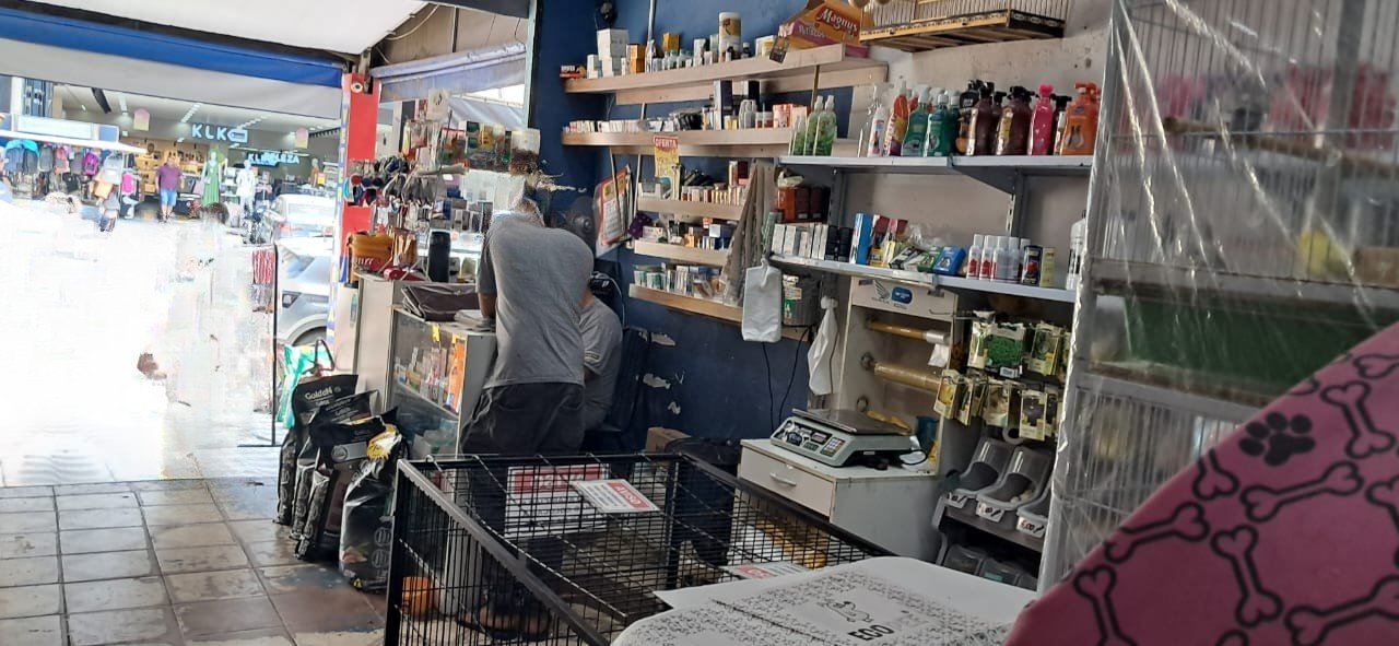 74c0f266-3a6e-40d2-aa9d-bbb618e4c224