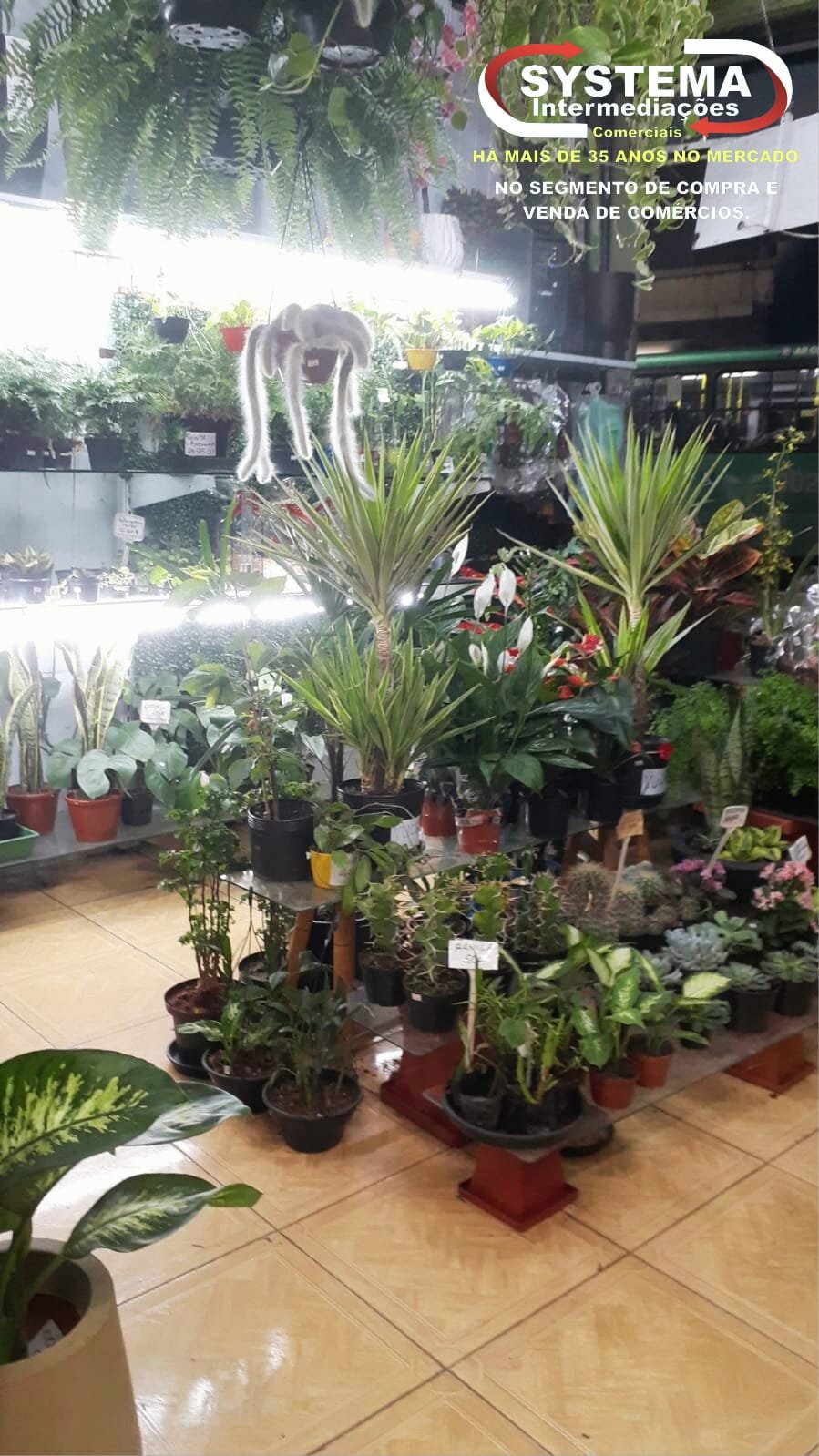 Imagem do WhatsApp de 2024-06-26 à(s) 09.24.00_6afb9f6a