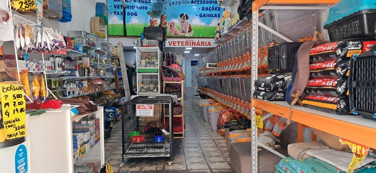 Imagem do WhatsApp de 2025-03-10 à(s) 12.19.15_3126f8f1 - Editado