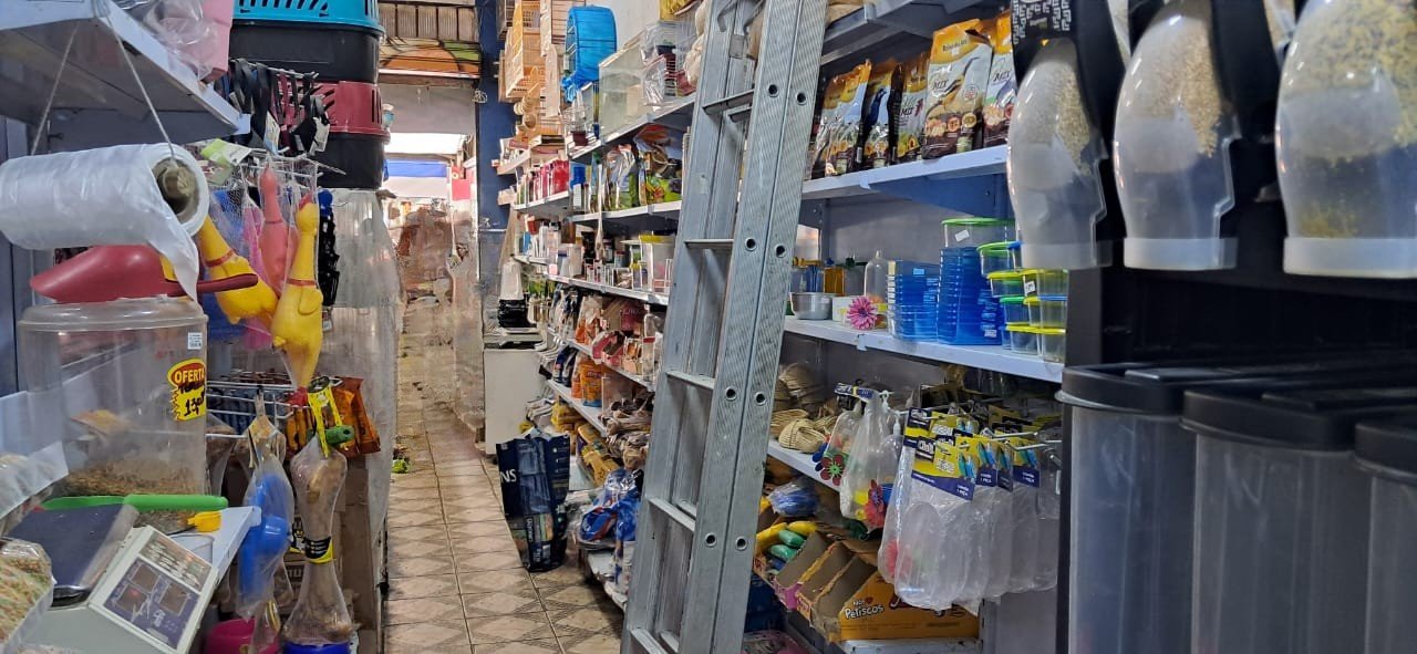 Imagem do WhatsApp de 2025-03-10 à(s) 12.19.17_37461b67 - Editado