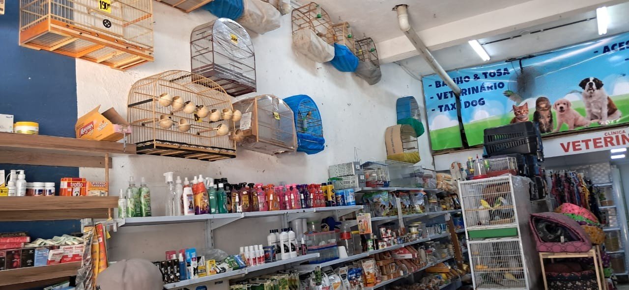 Imagem do WhatsApp de 2025-03-10 à(s) 12.19.18_2a7bb444 - Editado