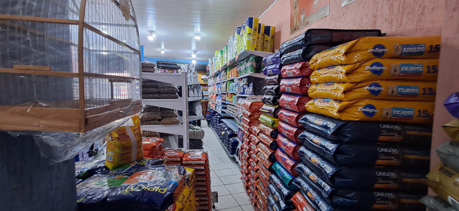 WhatsApp Image 2026-01-09 at 07.52.21