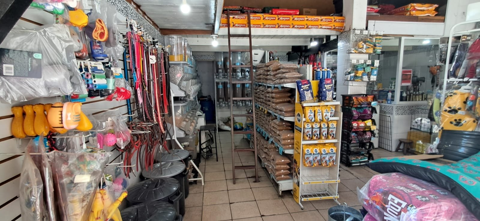 WhatsApp Image 2026-01-09 at 10.56.48