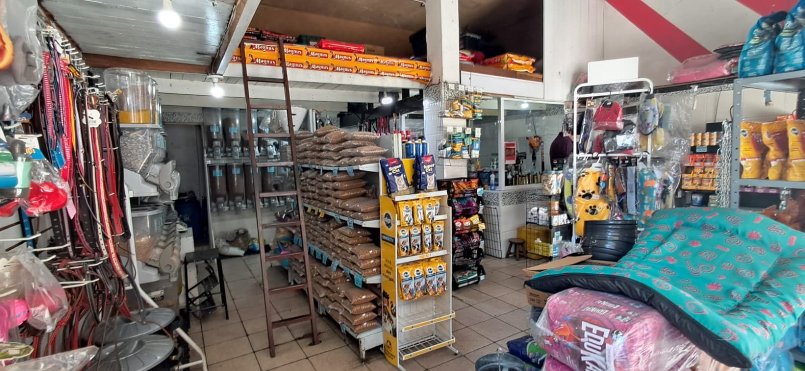 WhatsApp Image 2026-01-09 at 10.56.491