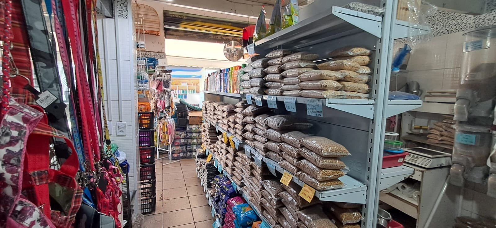 WhatsApp Image 2026-01-09 at 10.56.52