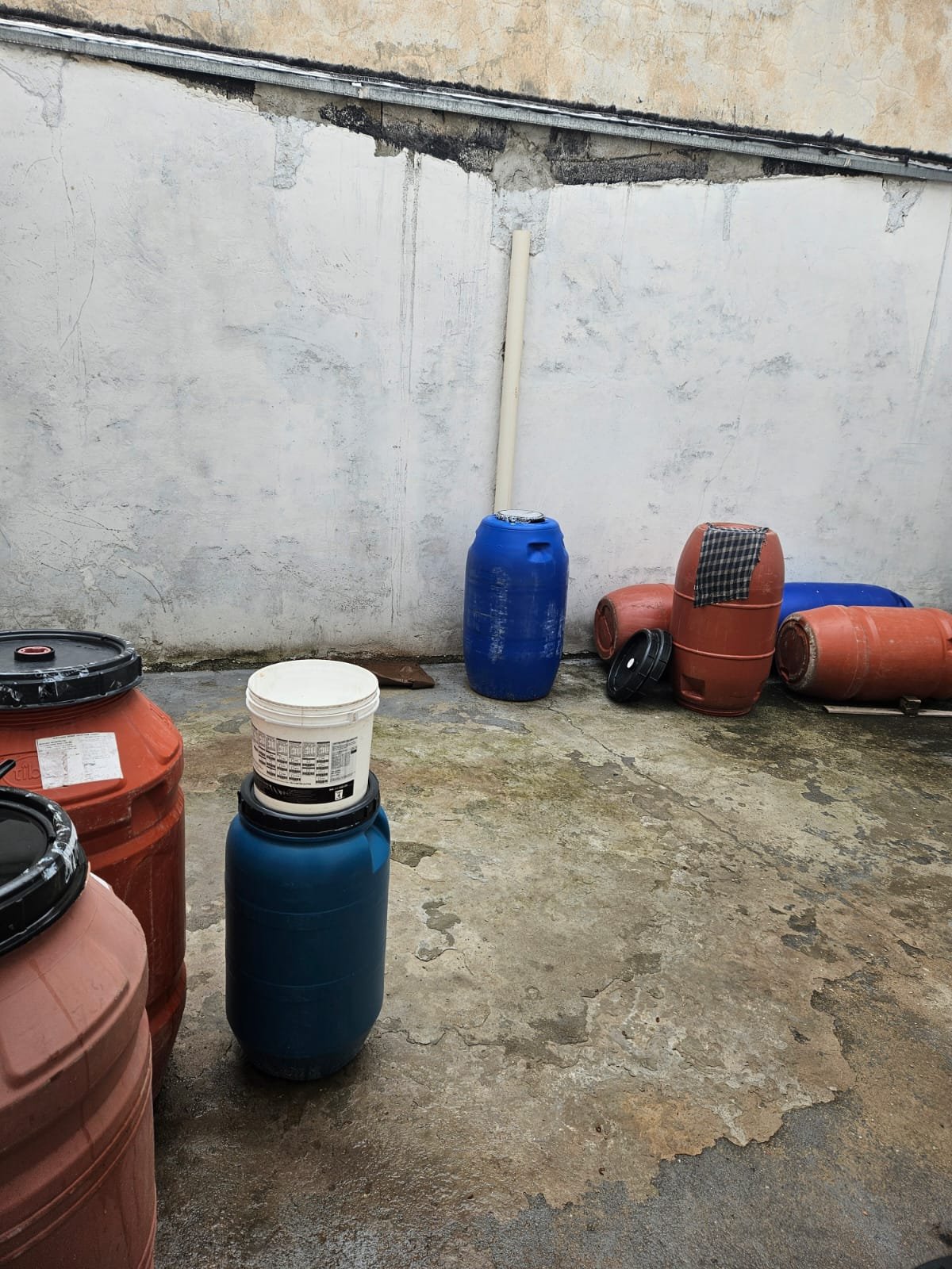 WhatsApp Image 2026-01-19 at 15.38.51