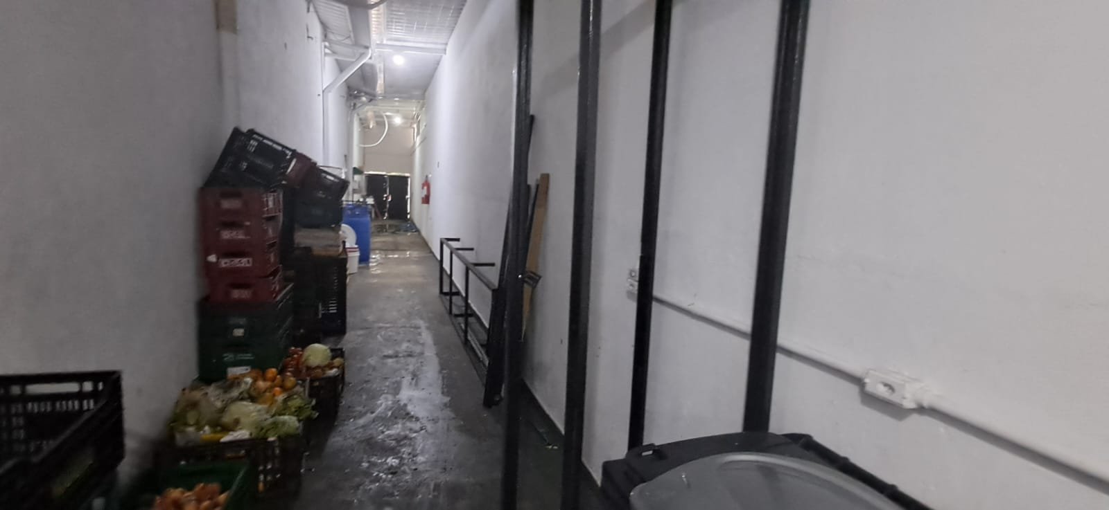 WhatsApp Image 2026-01-20 at 13.39.59