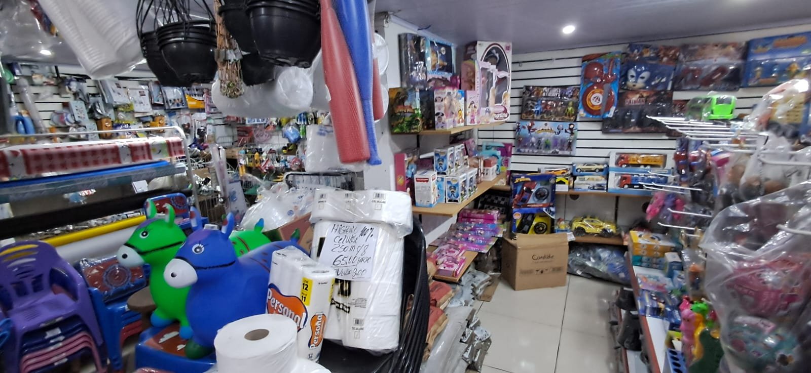 WhatsApp Image 2026-02-06 at 15.46.04