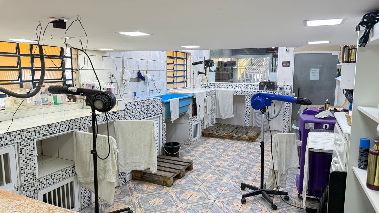 WhatsApp Image 2026-03-06 at 16.23.13,.