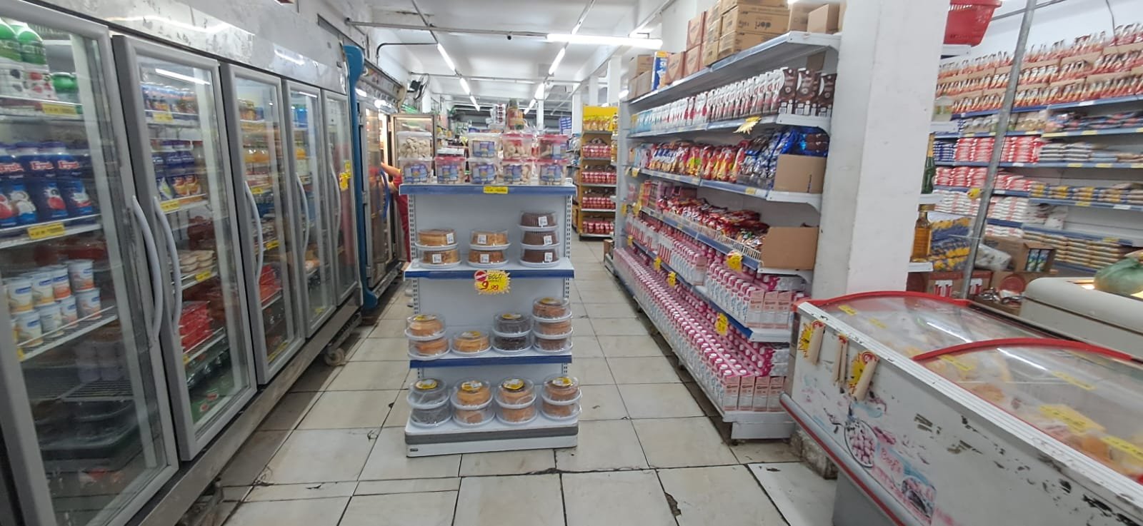 WhatsApp Image 2026-03-19 at 16.31.34